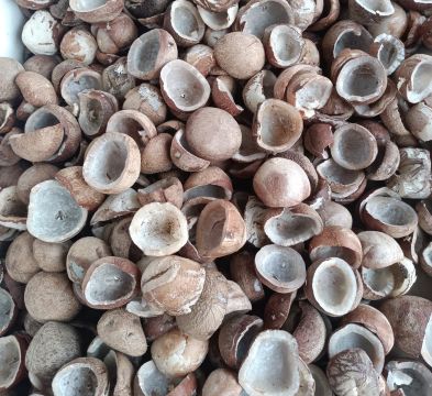 coconut copra Products