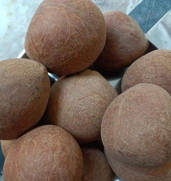 coconut copra Products